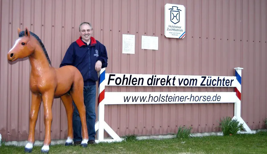 Hof Eibens - Holsteiner Pferdezucht nordfriesland DSC 1649